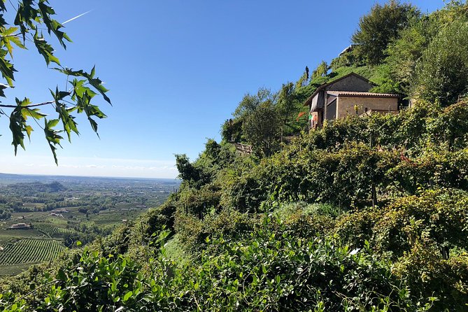 A Sparkling Day in the Prosecco Hills from Venice - The UNESCO Prosecco Hills Viewpoint: Photos, Air, and a Quick Reset