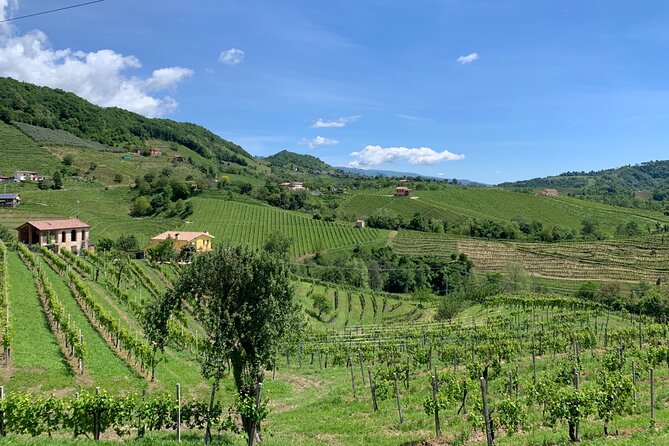 A Sparkling Day in the Prosecco Hills from Venice - What to Pack for a Prosecco Hills Day Trip