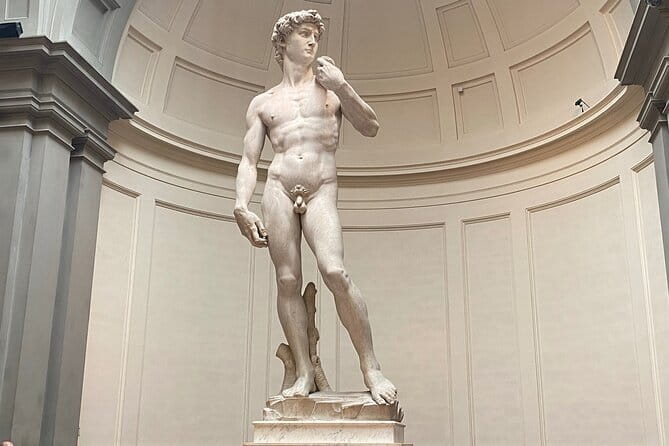 Accademia Gallery: Michelangelo's David and High Renaissance Art - Michelangelo’s David, up close at the Accademia