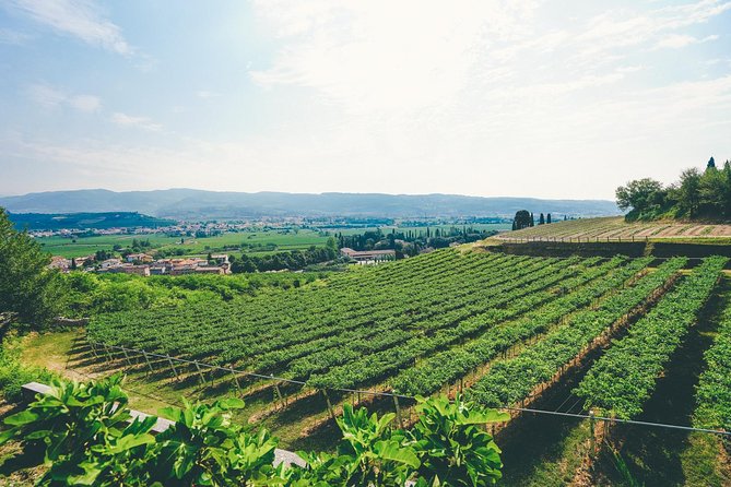 Amarone Wine-tasting Tour from Verona with Private Transportation - Stop 1: Teatro Ristori to the Valpolicella Start Line