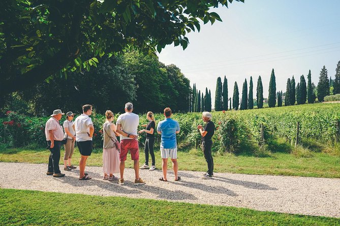 Amarone Wine-tasting Tour from Verona with Private Transportation - Winery Visit #1: Family-Run Cellars, Production Talk, and a Real First Taste