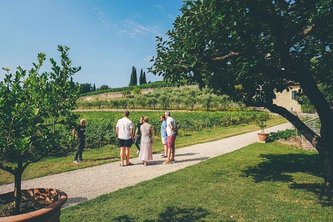 Amarone Wine-tasting Tour from Verona with Private Transportation - Winery Visit #2: Comparing Aromas and Seeing Two Winery Personalities