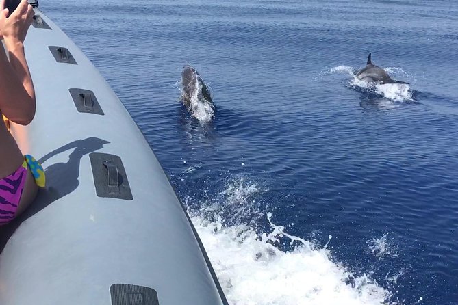 Amazing boat trip from Tropea to Capo Vaticano - 6 to 12 people - Capo Vaticano’s beaches and the Grotticelle snorkeling momentum