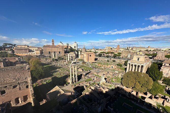 Ancient Rome Discovery: Colosseum, Forum, Palatine Guided Tour - Roman Forum in 45 minutes: Temple of Julius Caesar and the pulse of Rome
