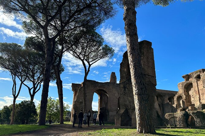 Ancient Rome Discovery: Colosseum, Forum, Palatine Guided Tour - Palatine Hill: imperial palaces, power, and city views