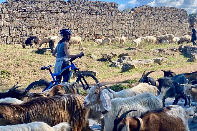 Appian Way & Aqueducts small group e-bike tour(catacombs & food) - Porta San Sebastiano and the Arch of Drusus: starting with Roman power