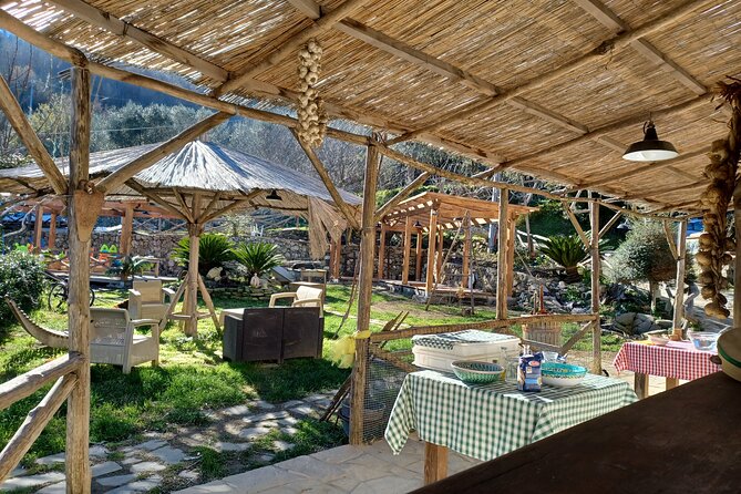 Authentic Farm Tour with Pizza, Cheese, Wine & Limoncello Tasting - The Welcome and Animal Time: Learning Without Feeling Like School