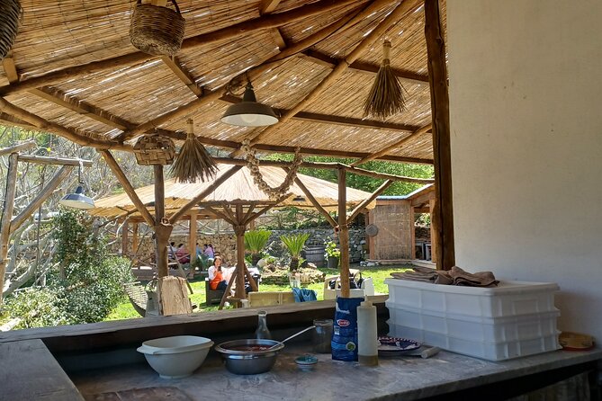Authentic Farm Tour with Pizza, Cheese, Wine & Limoncello Tasting - What the Family-Run Feel Changes for You