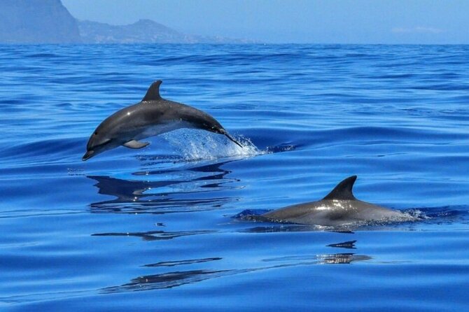 Boat tour Giardini Naxos Taormina Isola Bella Blue Grotto - Boat Comfort and What to Pack for a Stress-Free 2 Hours
