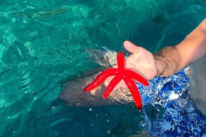 Boat tour Giardini Naxos Taormina Isola Bella Blue Grotto - Price and Value: What $48.37 Gets You on the Water