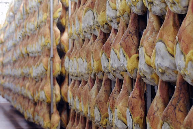 Bologna Food Experience: Factory tours & Family-Style Lunch - Transfers, Group Size, and How the Day Moves
