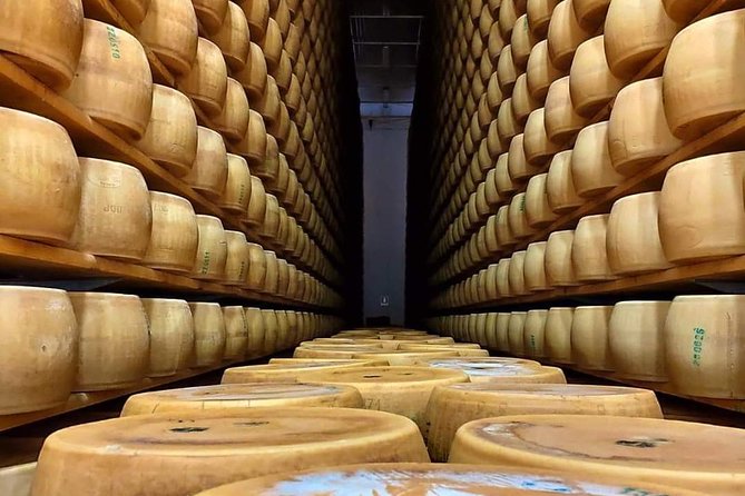 Bologna Food Experience: Factory tours & Family-Style Lunch - Who This Tour Suits Best (and Who Should Skip It)
