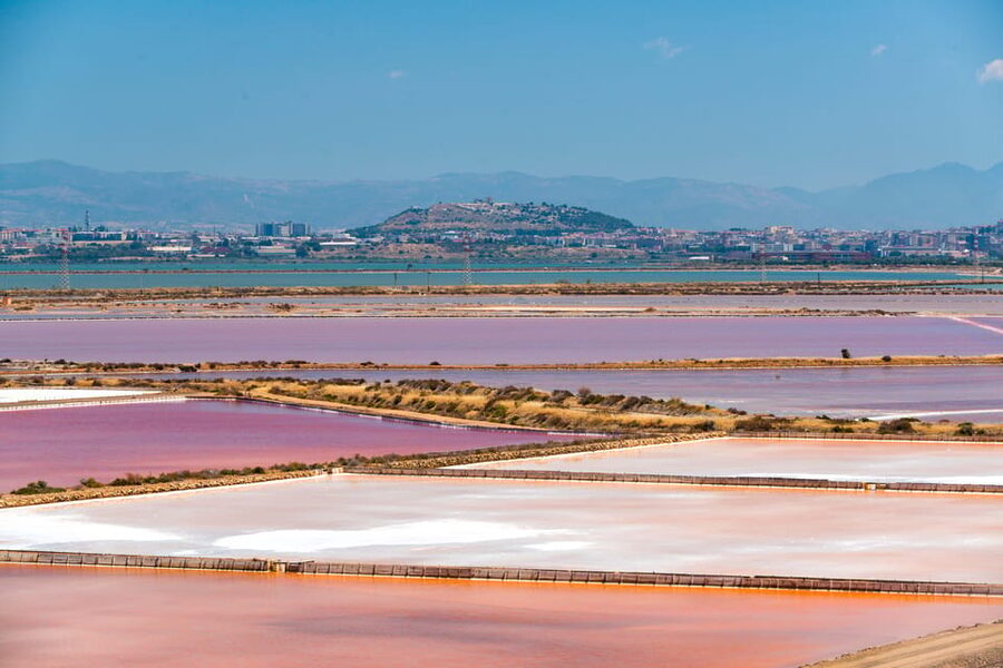 Cagliari: Conti Vecchi Salt Flats Train and Tour - Luigi Conti Vecchi and the Salt Workers: The Story Behind the White Gold