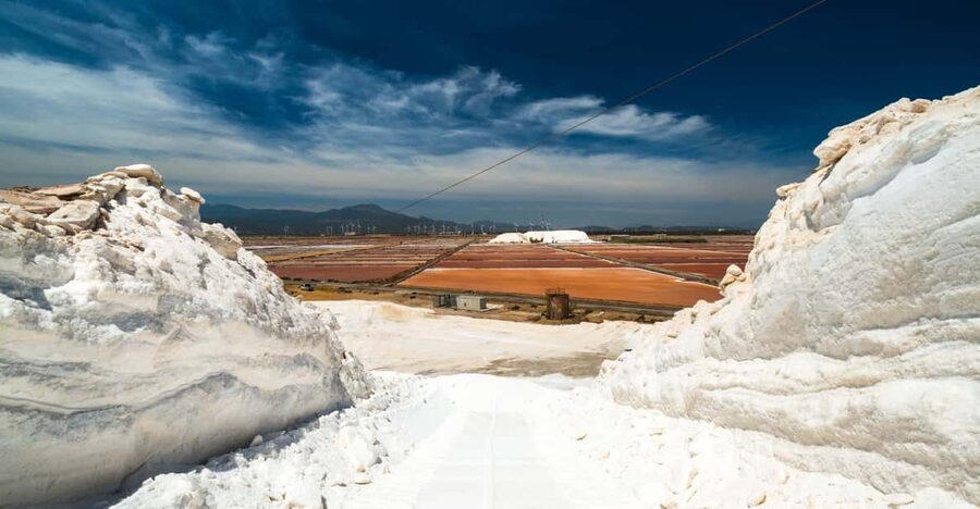 Cagliari: Conti Vecchi Salt Flats Train and Tour - Santa Gilla Basin by Train: 1 Hour Inside the Wetland Area