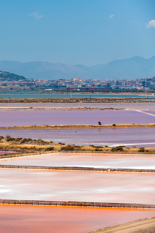 Cagliari: Conti Vecchi Salt Flats Train and Tour - Macchiareddu Salt-Mining Village: Seeing Workday Life in Context