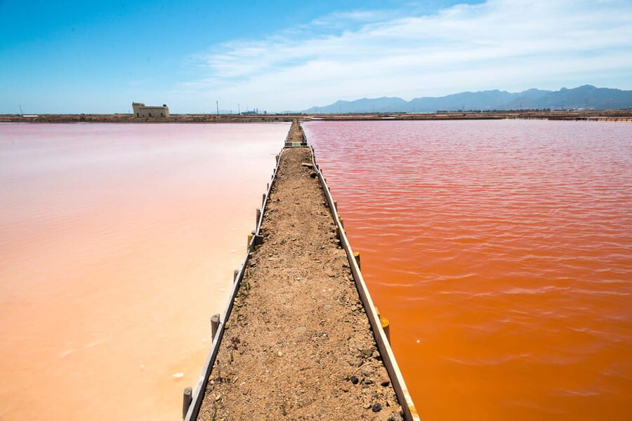 Cagliari: Conti Vecchi Salt Flats Train and Tour - Logistics Made Simple: Parking, Meeting Point, and What to Bring