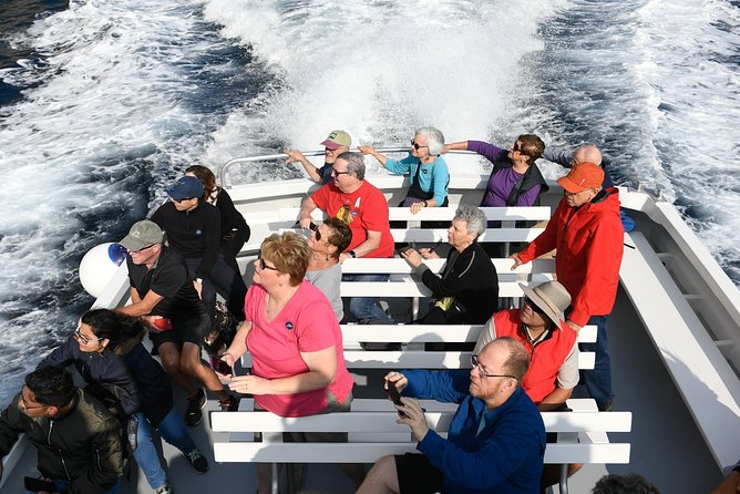 Capri Coast to Coast: Boat Tour with Optional Blue Grotto - Optional Swim Near the Faraglioni: Fun, But Pack for It