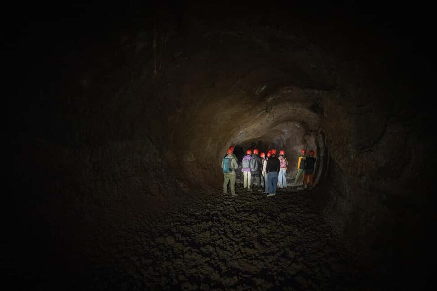 Catania: Amazing Etna Morning Tour with Pickup and Drop-Off - Key highlights worth waking up for