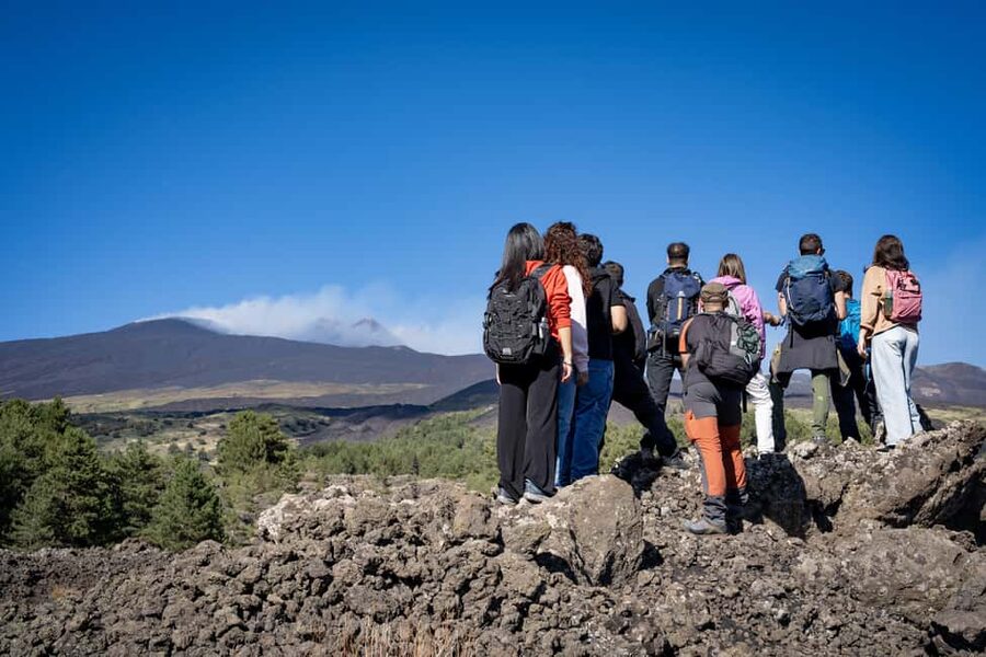 Catania: Amazing Etna Morning Tour with Pickup and Drop-Off - Hiking on lava flows to crater views around 1800m