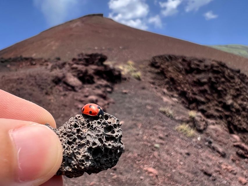 Catania: Etna Morning Excursion with Tasting and Pickup - Hidden Stops and Viewpoints That Change How You See Etna