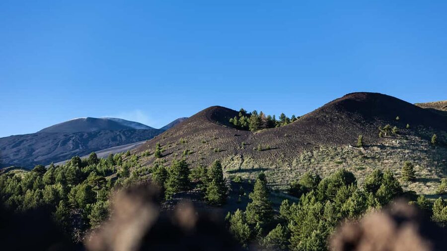 Catania: Etna Nature Tour with Hiking, Cave Visit, & Tasting - Price and what you really get for about $45.55