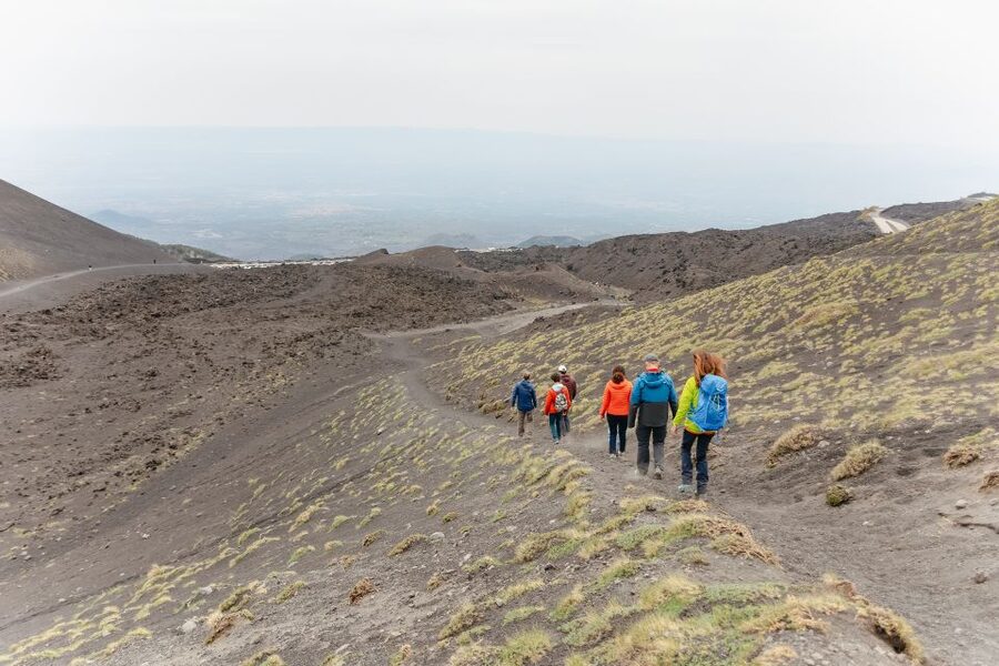Catania: Mount Etna Morning or Sunset Day Trip with Tasting - The cantucci and zibibbo tasting: the break that makes sense