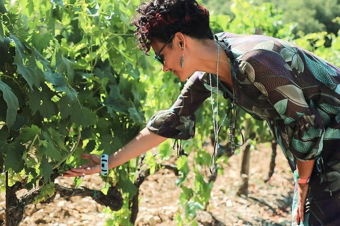 Chianti Wine Tour from Florence - Stop One in Chianti Classico: Organic Wines and a Cozy Welcome