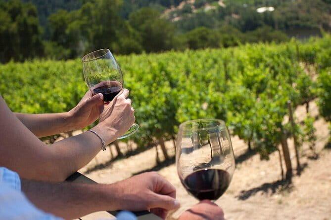 Chianti Wine Tour from Florence - Wine Tastings: How Many Wines to Plan For