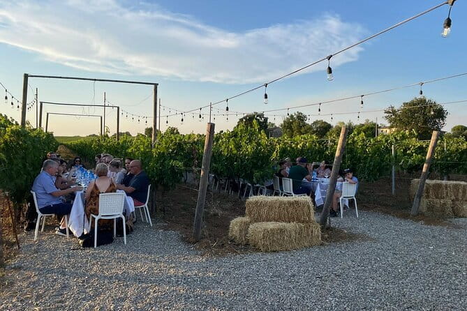 Chianti Wine Tour from Florence with Tastings - Chianti Hills in 5.5 Hours, Starting from Florence