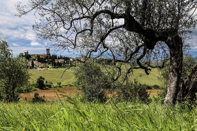 Chianti Wineries Tour with Tuscan Lunch and San Gimignano - Chianti Winery Stop #2: Tuscan Lunch Plus Another Tasting