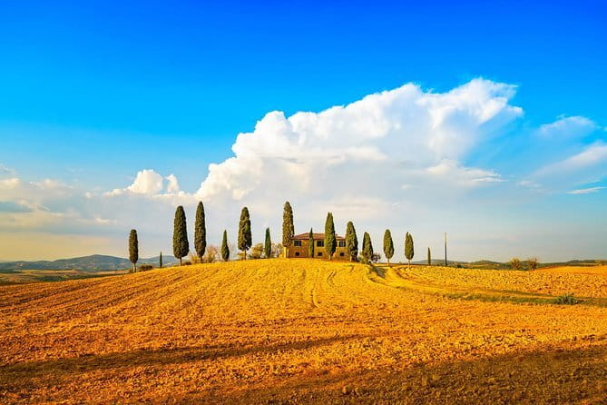 Cinque Terre and Pisa Full Day Tour from Florence - Manarola Free Time: Pastel Streets, Sea Views, and Timing Your Swim