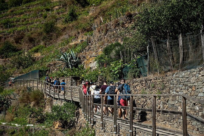 Cinque Terre Day Trip with Optional Hiking or Pisa - Manarola: The Valley Town, the Wine Years, and the Genoa Connection