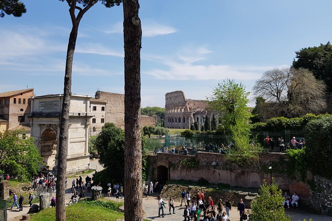 Colosseum Arena Floor, Roman Forum and Palatine Hill Guided Tour - Guides matter: what the best ones do with the Colosseum and Forum