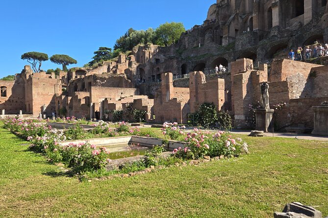 Colosseum Arena Floor, Roman Forum & Palatine Hill Guided Group Tour - Palatine Hill: Augustus-era palaces and big Rome views