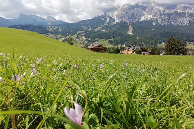 Discover the Dolomites, Cortina and Lake Braies from Venice - What the Pace Feels Like in Real Life (Long Day, Good Structure)