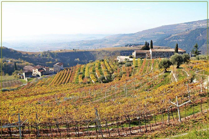 Discover Valpolicella Vineyards and Wine Tasting Experience - Timing, group size, and the small details that affect your day