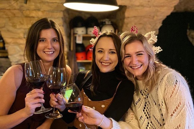 Discover Valpolicella Vineyards and Wine Tasting Experience - Who this Verona to Valpolicella tour fits best