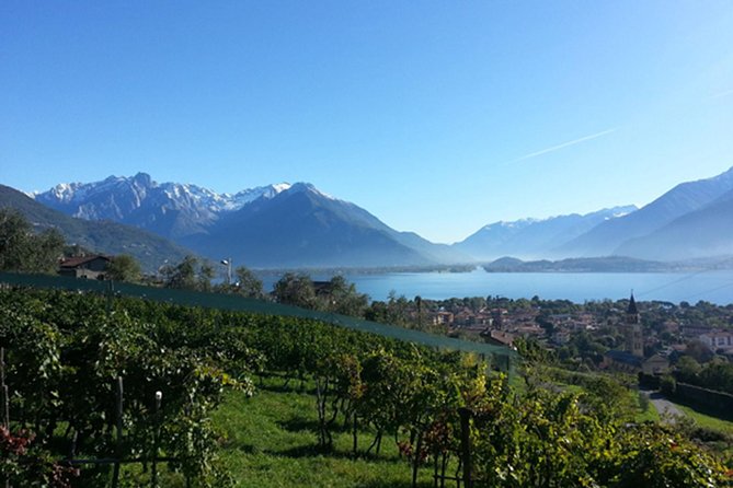 Domaso: Wine Tasting at the Winery on Como Lake - Arriving in Domaso, and why logistics matter