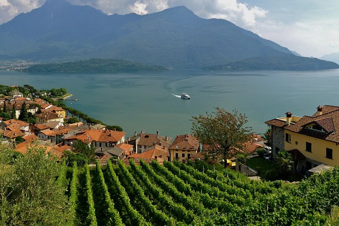 Domaso: Wine Tasting at the Winery on Como Lake - Value check: is $76.22 a good deal?