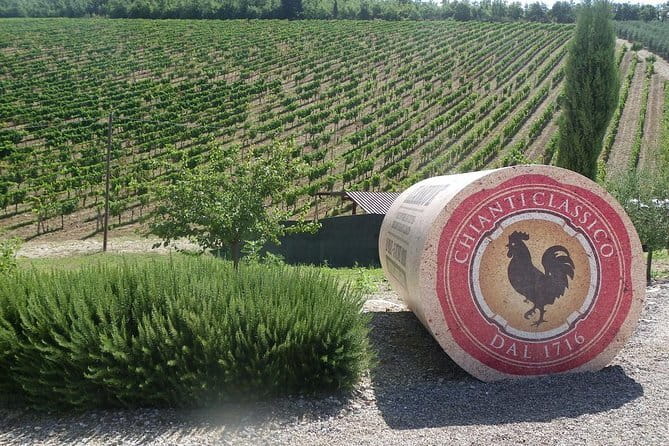 Essence of Chianti Small Group Tour with Lunch and Tastings from Florence - Key Things You’ll Notice on This Chianti Day Trip