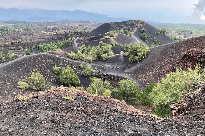 Etna, Wine and Alcantara Tour - From Taormina - Key things that make this Etna, Wine and Alcantara day special