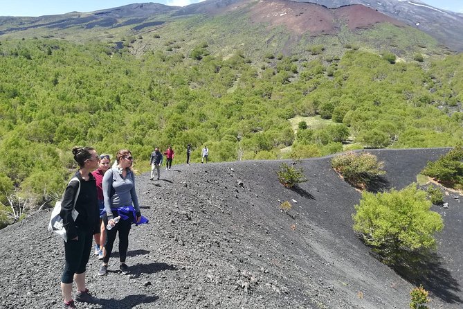 Etna, Wine and Alcantara Tour - From Taormina - Mount Etna, Alcantara, and wine from Taormina, the value pitch