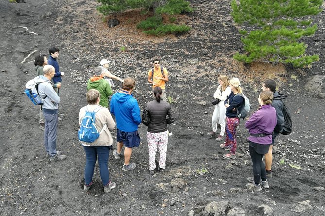 Etna, Wine and Alcantara Tour - From Taormina - Getting to Mount Etna: pickup, timing, and group size