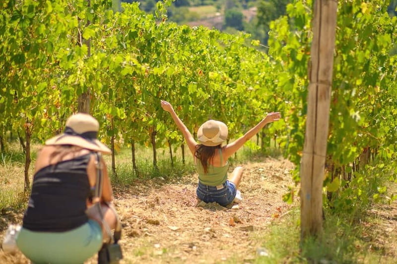Florence: Chianti Wineries Tour with Wine Tasting - Key takeaways