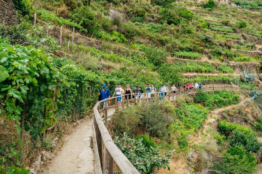Florence: Cinque Terre Day Trip with Optional Hike - A 13-hour plan that actually covers all five towns