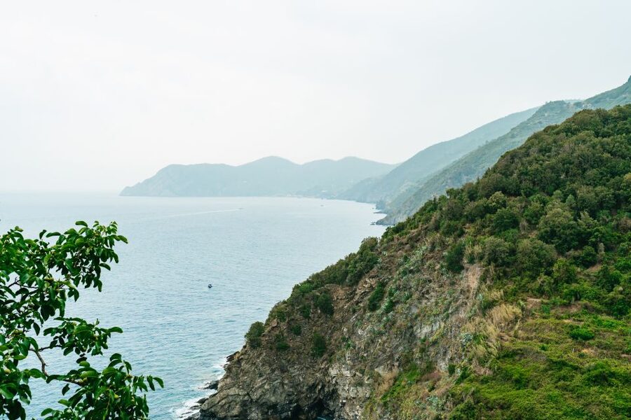Florence: Cinque Terre Day Trip with Optional Hike - Vernazza: coastal viewpoints and an easy way to slow down