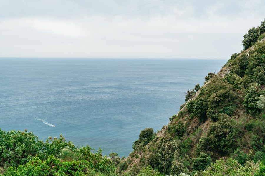 Florence: Cinque Terre Day Trip with Optional Hike - Monterosso: beaches and artisan shopping