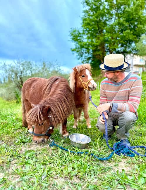 Florence: Countryside Tour with Wine Tasting & Pasta Class - The Vineyard and Botanical Garden Walk: Where Tuscany Starts to Make Sense