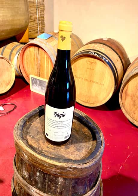 Florence: Countryside Tour with Wine Tasting & Pasta Class - What You Really Get for the Price: Value at About $71