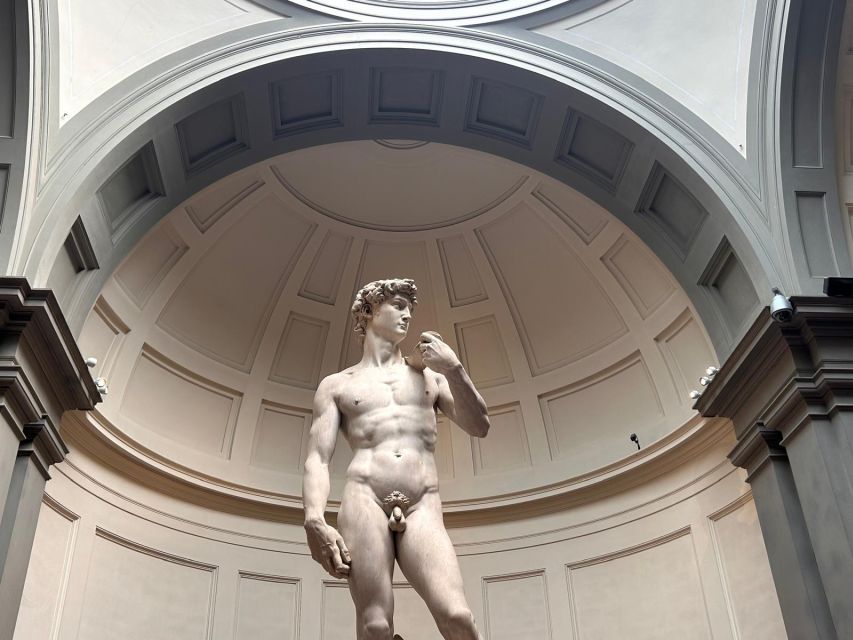 Florence: Michelangelo's David Entrance Ticket and Audio App - Key highlights you’ll actually feel on arrival